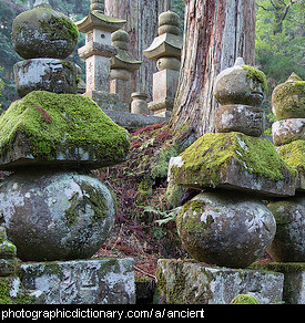 Photo of ancient statues