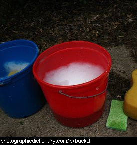 Photo of a red bucket.