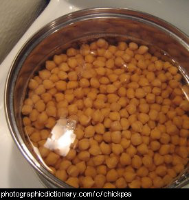 Photo of chickpeas