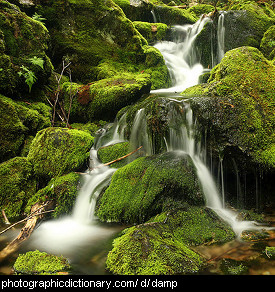 Photo of damp rocks