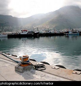 Photo of a harbor