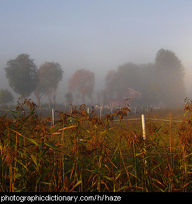 Photo of a haze