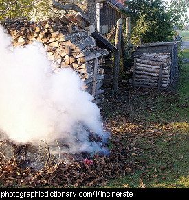 Photo of leaves being burnt