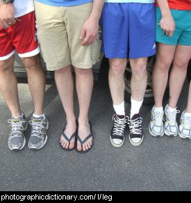 Photo of people's legs