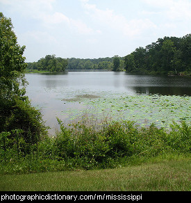 Photo of the Mississippi river