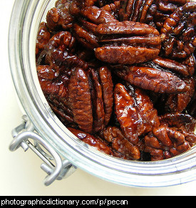 Photo of caramelised pecans