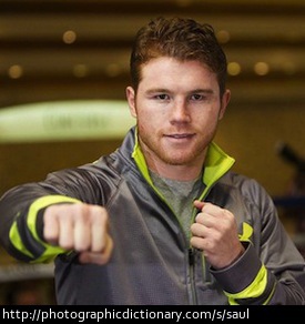 Boxer Saul Alvarez