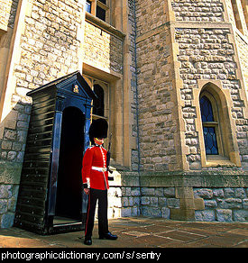 Photo of a British sentry