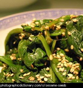 Photo of sesame seeds