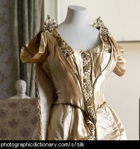 Photo of a silk dress