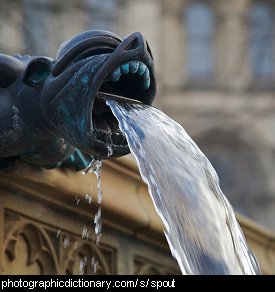 Photo of a water spout