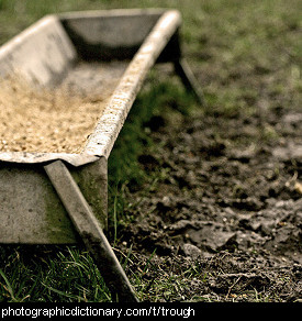 Photo of a trough