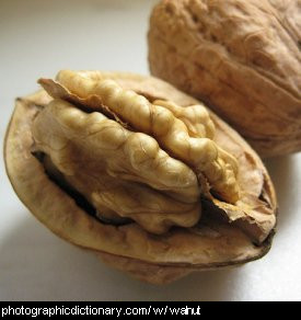 Photo of walnuts