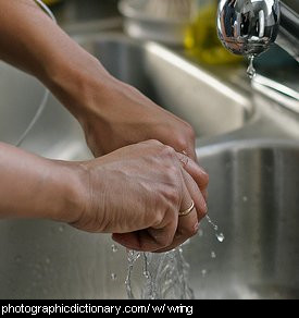 Photo of some hands wringing out a cloth